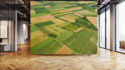 Top view aerial photo of fields and meadows. Serbia Wall mural