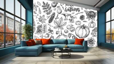 Autumn plants vector sketches. Hand drawn set of harvest, leaves and seasonal fall flowers. Wall mural