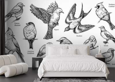 Birds hand drawn vector illustration. Wall mural