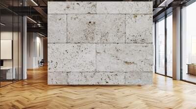 Natural Italian stone. Smooth travertine surface. A sample of wall cladding with natural stone.	 Wall mural