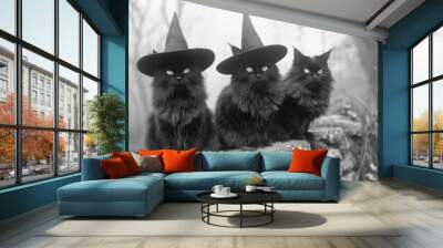 black and white vintage horror photo of three black cats wearing witch hats sitting on a graveyard wall, Halloween concept. Wall mural