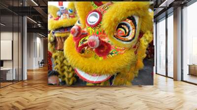 Chinese lion mask or lion head used to performed lion dance during Chinese New Year Festival at Seremban, Malaysia.  Wall mural