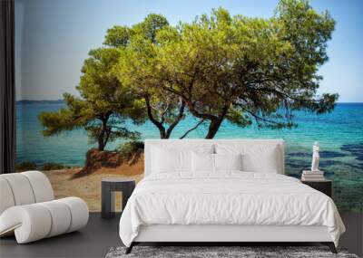 Beautiful summer coast, blue sea and pine trees  Wall mural