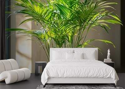 A decorative plant in a modern living room setting,Plant in a Minimalist Office. Wall mural