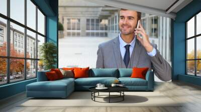 Businessman making a call outside Wall mural