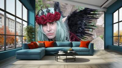 Mythical male elf in the forest Wall mural