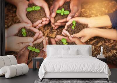 Hands, friends and soil with plants, teamwork and environment with climate change. Closeup, agriculture and people with ecology, growth and earth day with support, sustainability and eco friendly Wall mural