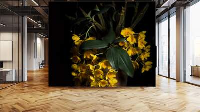 yellow orchid, black background Wall mural