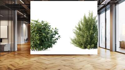 isolated shrub bushes in 2 variation, best use for landscape design, best use for post production render. Wall mural