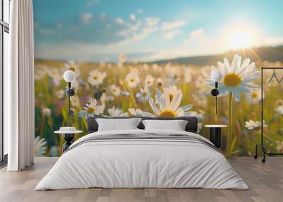 cosmos flower.Natural colorful panoramic landscape with many wild flowers of daisies against blue sky.Close up flowers blooming on softness style in spring summer under sunrise. Wall mural