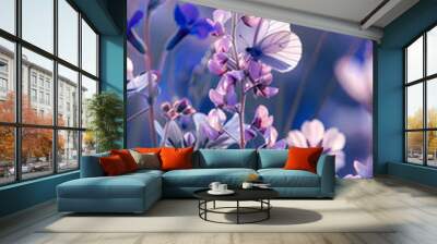 cosmos flower.Natural colorful panoramic landscape with many wild flowers of daisies against blue sky.Close up flowers blooming on softness style in spring summer under sunrise. Wall mural