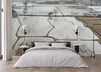 Bird eye view ducks in fields Prepare the soil from the tractor for planting rice Wall mural