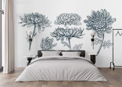 Realistic hand drawn illustration chrysanthemums flower set Wall mural