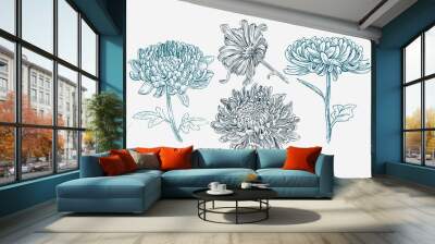 Vintage hand drawn illustration chrysanthemums flower set Wall mural