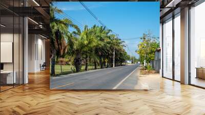 Empty rural road with fresh green trees on clear blue sky background Wall mural