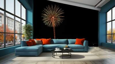 shape of fire work Wall mural