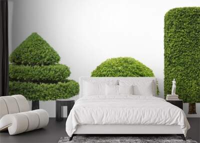 collection set of different shape of topiary tree isolated on white background for formal japanese a Wall mural