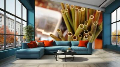 Natural bamboo drinking straw as alternative to plastic one in the cafe with copy space Wall mural