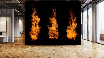 Set of fire and burning flame isolated on dark background for graphic design Wall mural