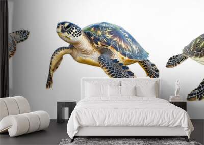 Set off sea turtle isolated on a transparent background Wall mural