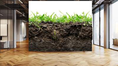 3d illustration of cross section of ground with grass isolated on white Wall mural