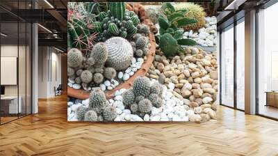 Close up Beautiful tropical cactus garden, Thailand Wall mural