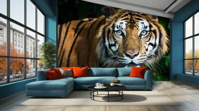 The tiger looked at me, his eyes looked at me with interest. Wall mural