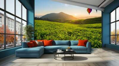 Malaysia tea plantation at Cameron highlands with hot air balloon Wall mural