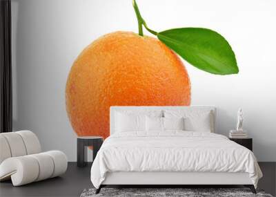 blood orange isolated on white background Wall mural