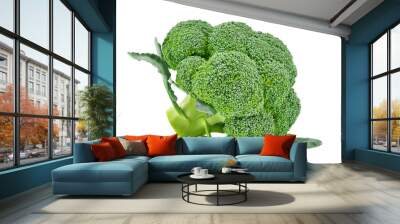 Broccoli isolated on white background Wall mural