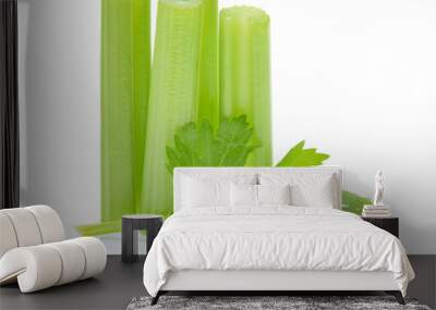 Celery isolated on white background Wall mural