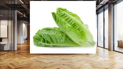 fresh baby cos,lettuce isolated on white background Wall mural