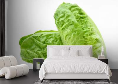 fresh baby cos (lettuce) on white background Wall mural