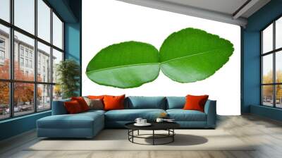 Kaffir lime leaf isolated on white background Wall mural