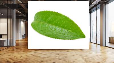 leaves Fresh green tea with drops of water isolated on white bac Wall mural