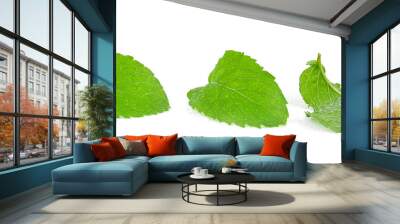 mint leaves with drop of water isolated on white background Wall mural