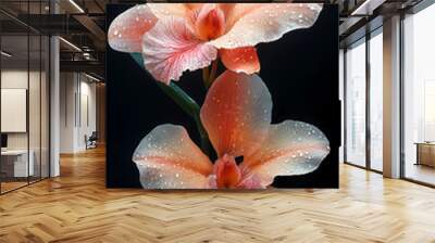 A delicate close-up of a blooming cattleya orchid in a spring garden, showcasing the beauty of nature with its bright petals . Wall mural