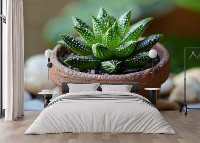 cute mini Haworthia cymbiformis plant in a pot, light pastel background Wall mural