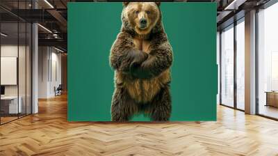 Full body of bear on solid green screen background, fashion photography, evenly lighting Wall mural