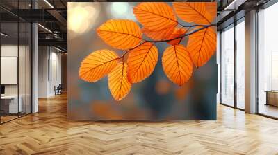 Orange fall leaves in park, autumn natural background Wall mural