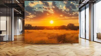 Sunrise over the savanna and grass fields in central Kruger National Park in South Africa Wall mural