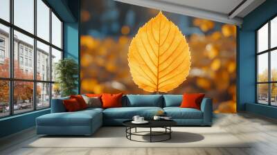 Yellow autumn leaf close-up. With a blurred bokeh background, a bright orange tree changes. Wall mural