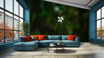 small white flower  Wall mural