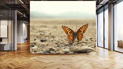 Butterfly on a Desert Landscape Wall mural