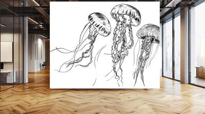 Hand drawn jellyfish. Vector illustration. Sea collection. Wall mural