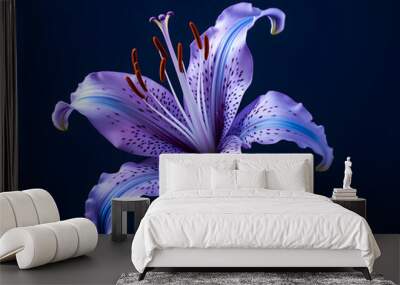 Lily flower in studio background, single lily flower, Beautiful flower images Wall mural