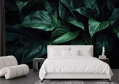 Leaves of spathiphyllum cannifolium abstract green dark texture nature background tropical leaf decorative background scene Wall mural