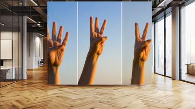 Hand countdown concept. Hand counting down on blue background. Gesturing number 5, 4, 3, 2, 1. Number five, four, three. two and one in sign language. Space for ad text. Collage photo for countdown. Wall mural