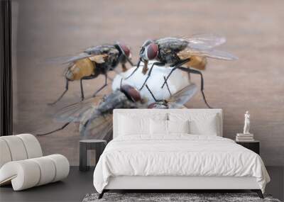 Houseflies eating food on brown table, four flies feeding outdoors. Wall mural