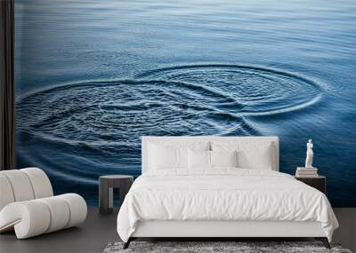 Ripples on sea texture pattern background. Round droplets of water over circles on pool water. Fresh water drop, whirl and splash. Laptop decorative wallpaper. Bright water rings affect the surface. Wall mural